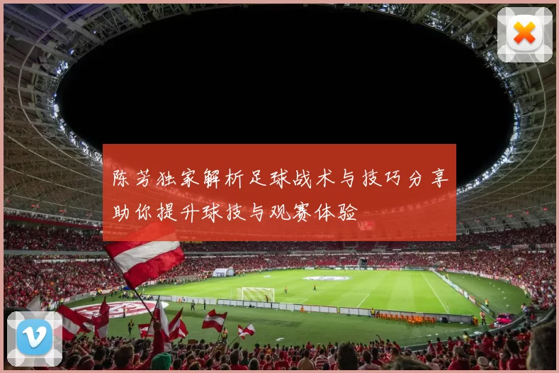 陈芳独家解析足球战术与技巧分享助你提升球技与观赛体验