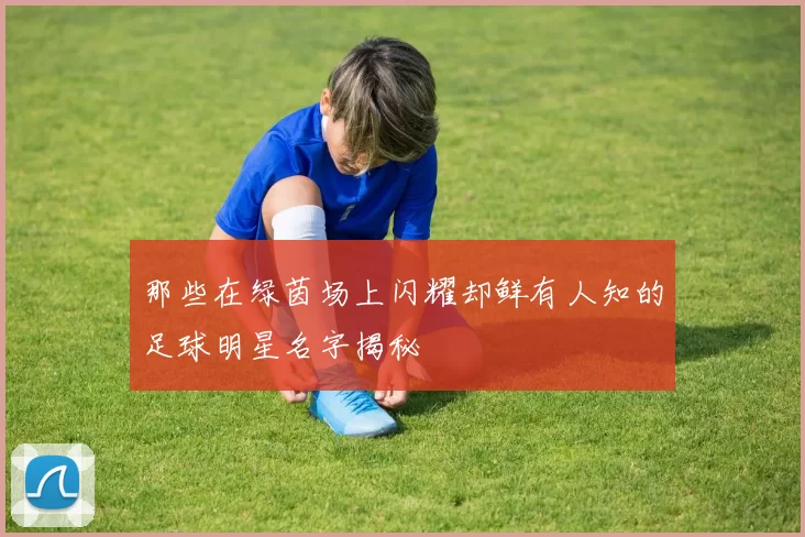 那些在绿茵场上闪耀却鲜有人知的足球明星名字揭秘