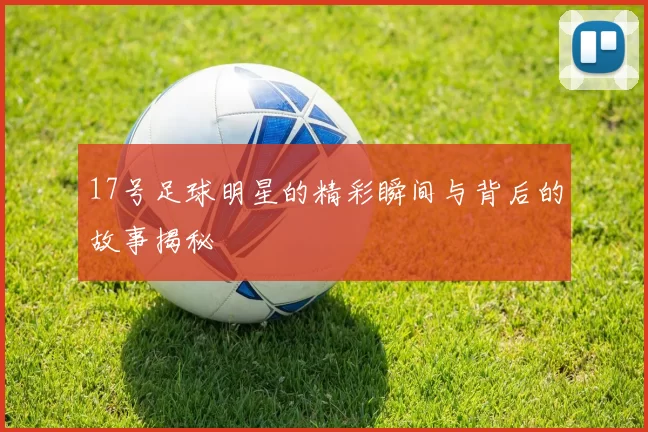 17号足球明星的精彩瞬间与背后的故事揭秘