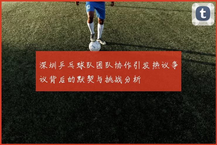 深圳乒乓球队团队协作引发热议争议背后的默契与挑战分析