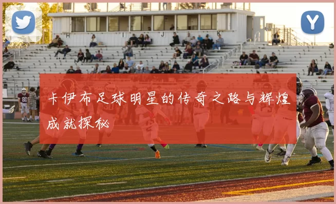 卡伊布足球明星的传奇之路与辉煌成就探秘