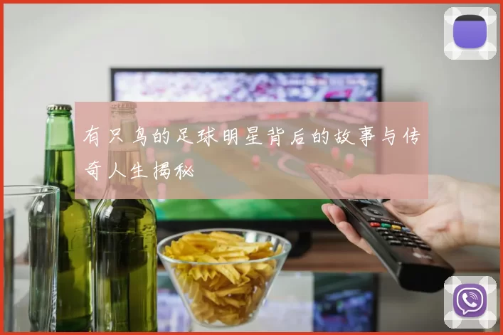 有只鸟的足球明星背后的故事与传奇人生揭秘